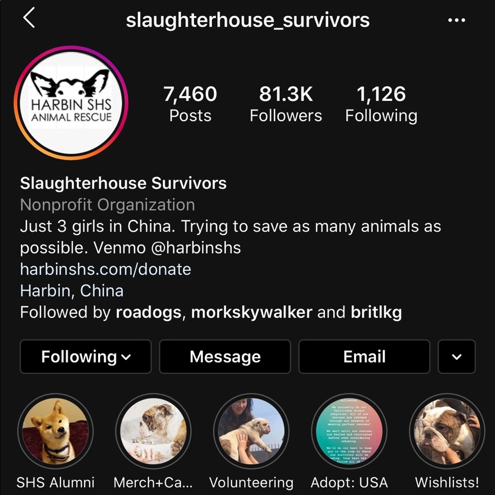 I’m donating portions of all my profits to animals - Picture 4 of 5